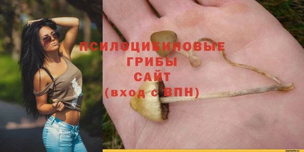 круглые Дмитровск